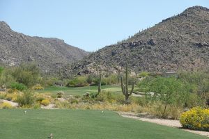 Dove Mountain (Wild Burro) 4th